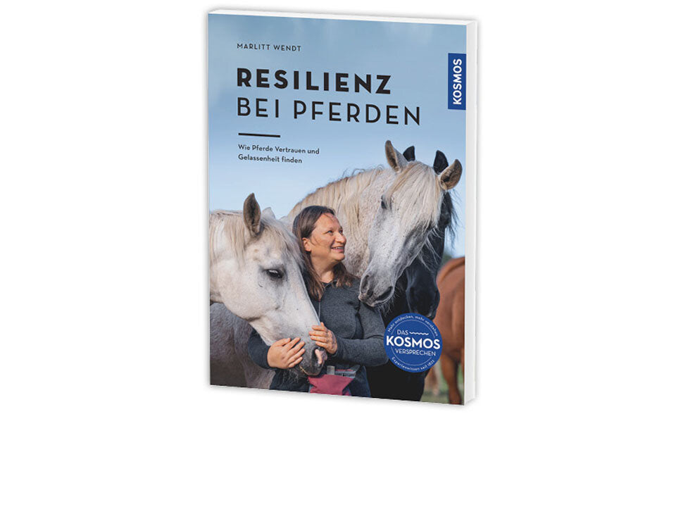 Resilienz bei Pferden Banner