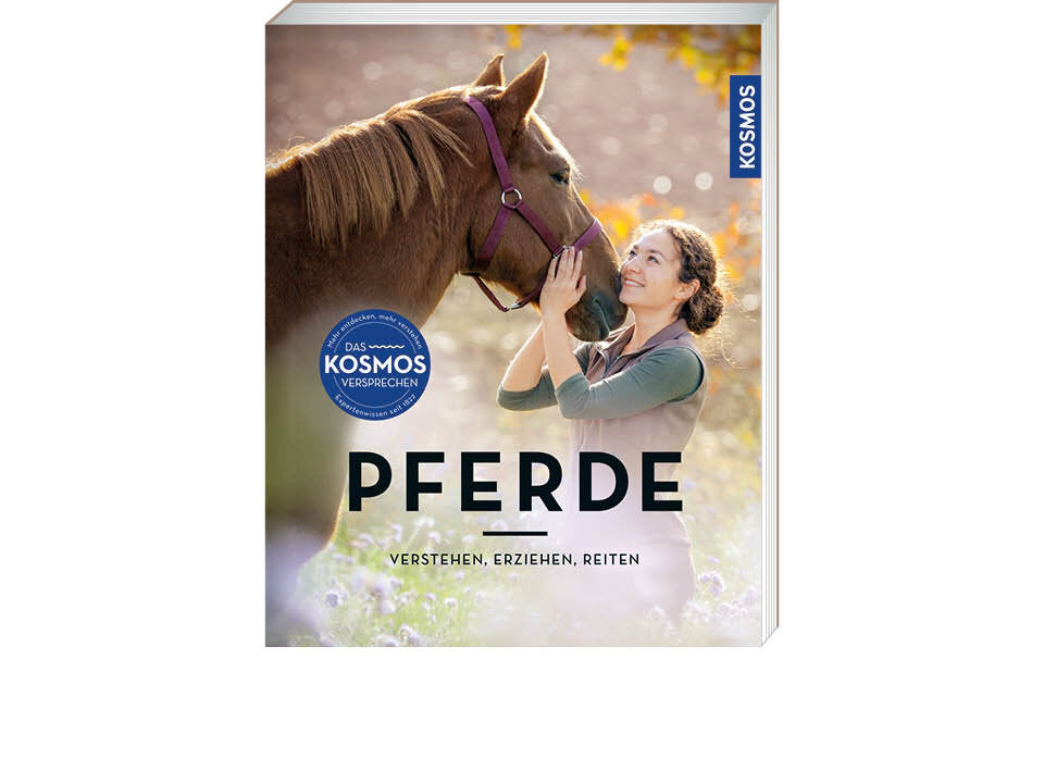 Pferde verstehen, erziehen und reiten Banner