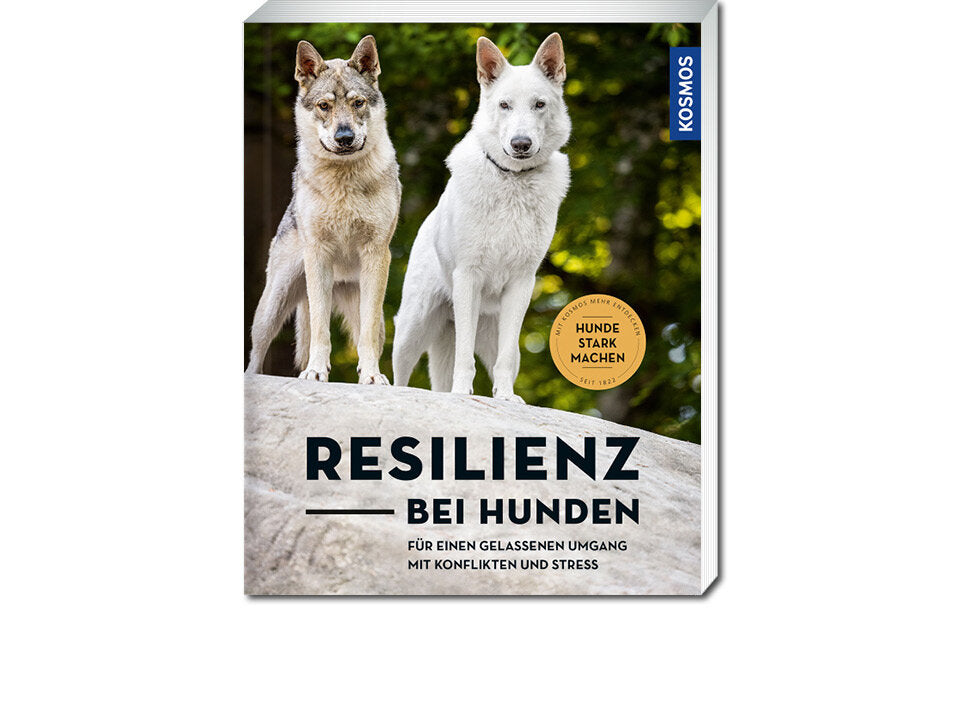 Resilienz bei Hunden Banner