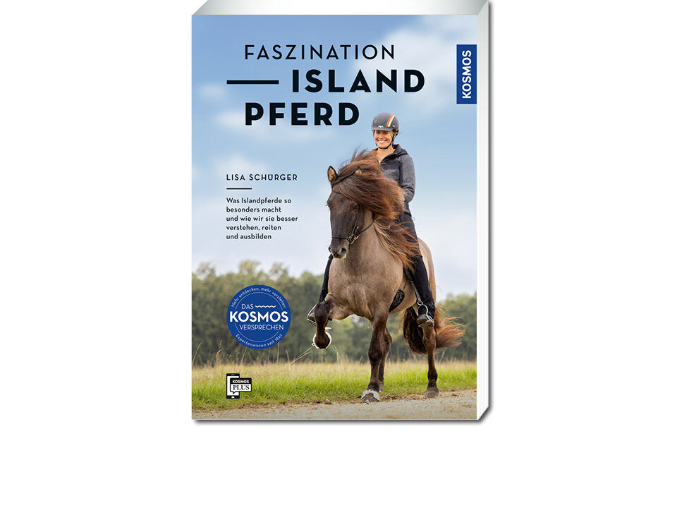 Faszination Islandpferd Banner