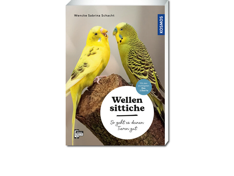 Wellensittiche Banner