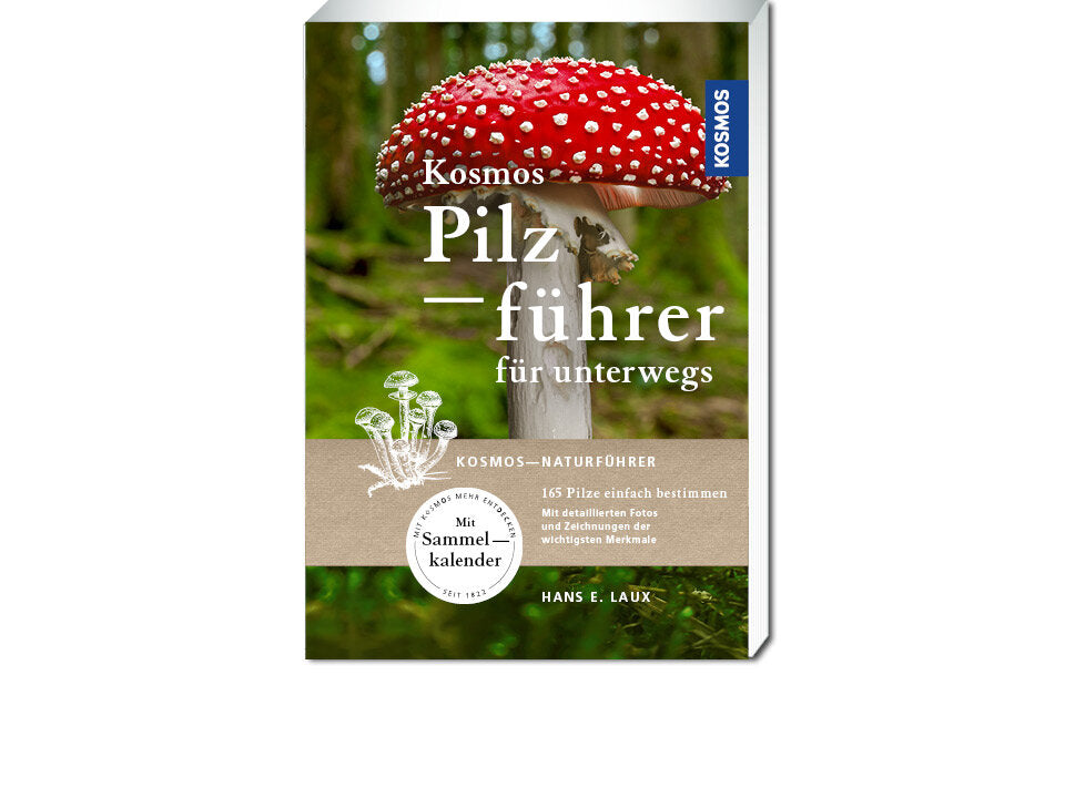 Kosmos Pilzführer für unterwegs Banner