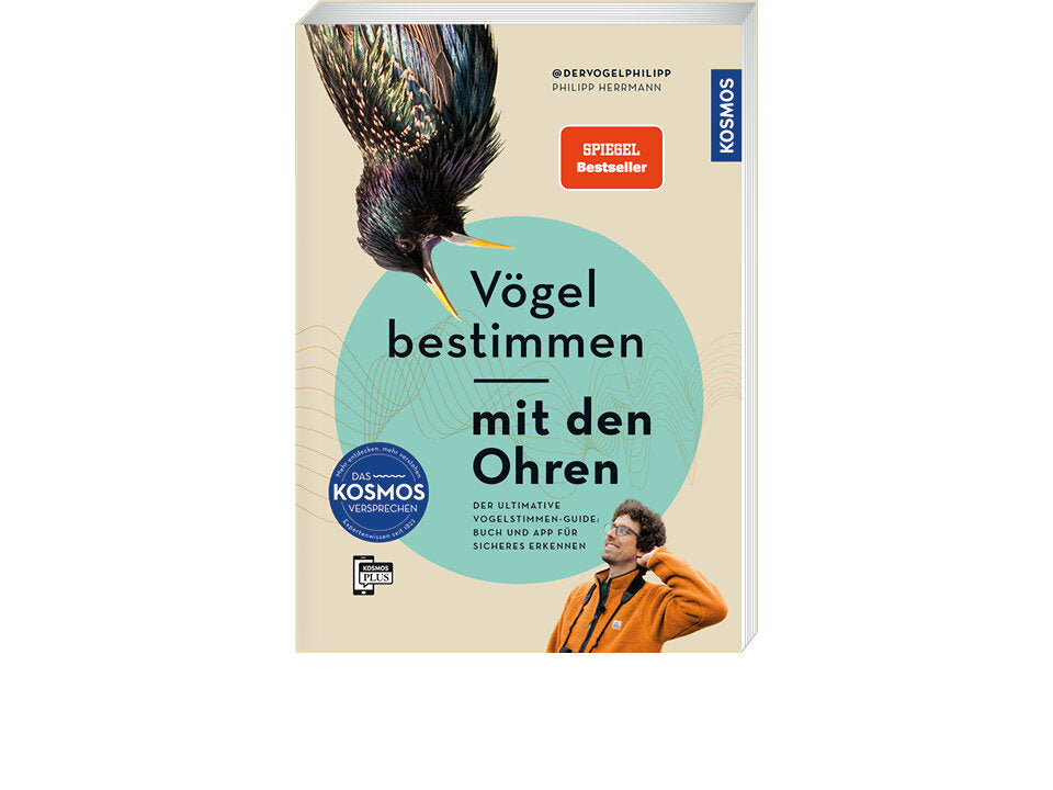 Vögel bestimmen mit den Ohren Banner