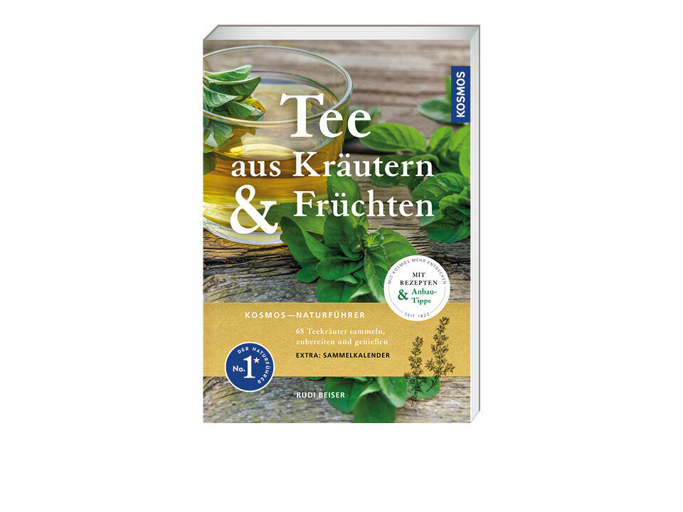 Tee aus Kräutern und Früchten Banner
