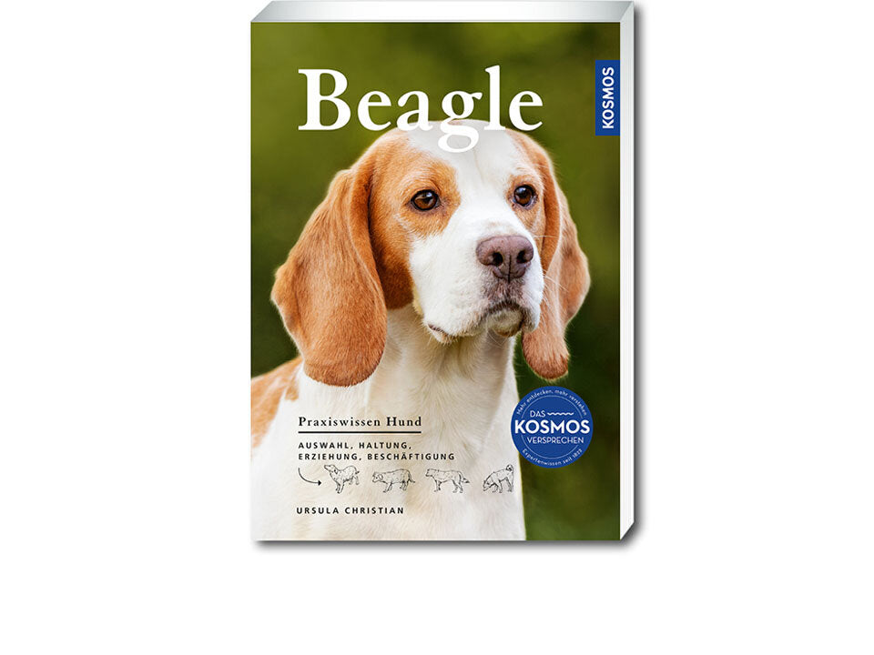 Beagle Banner