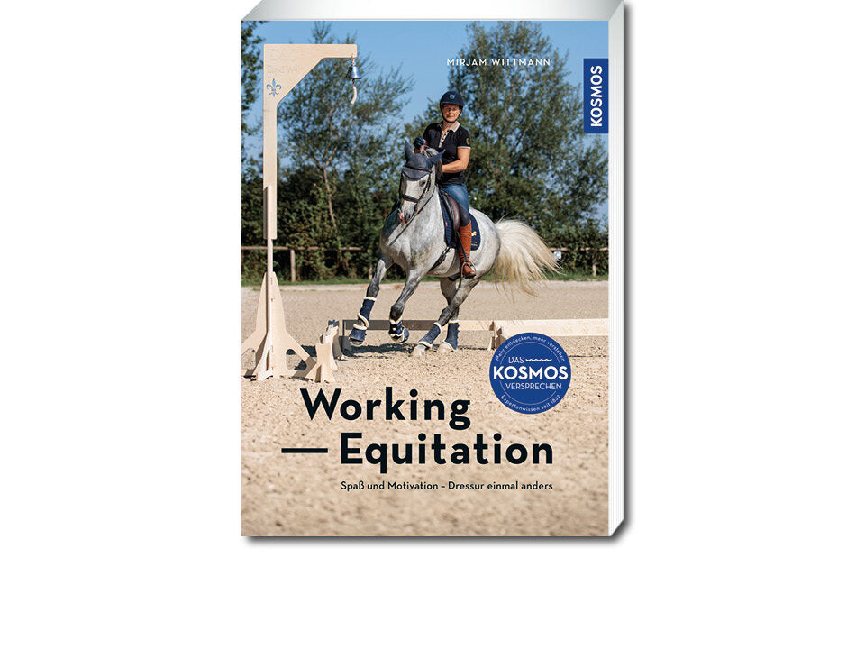 Working Equitation Banner