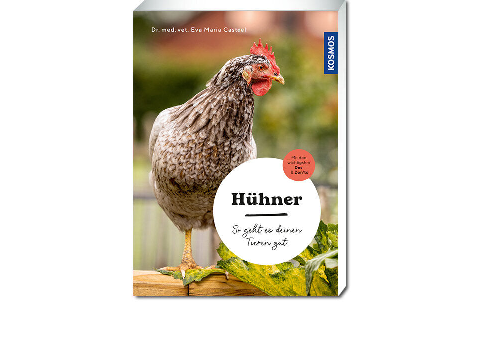 Hühner Banner
