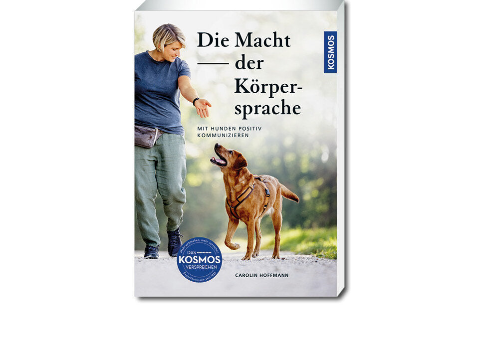 Die Macht der Körpersprache Banner