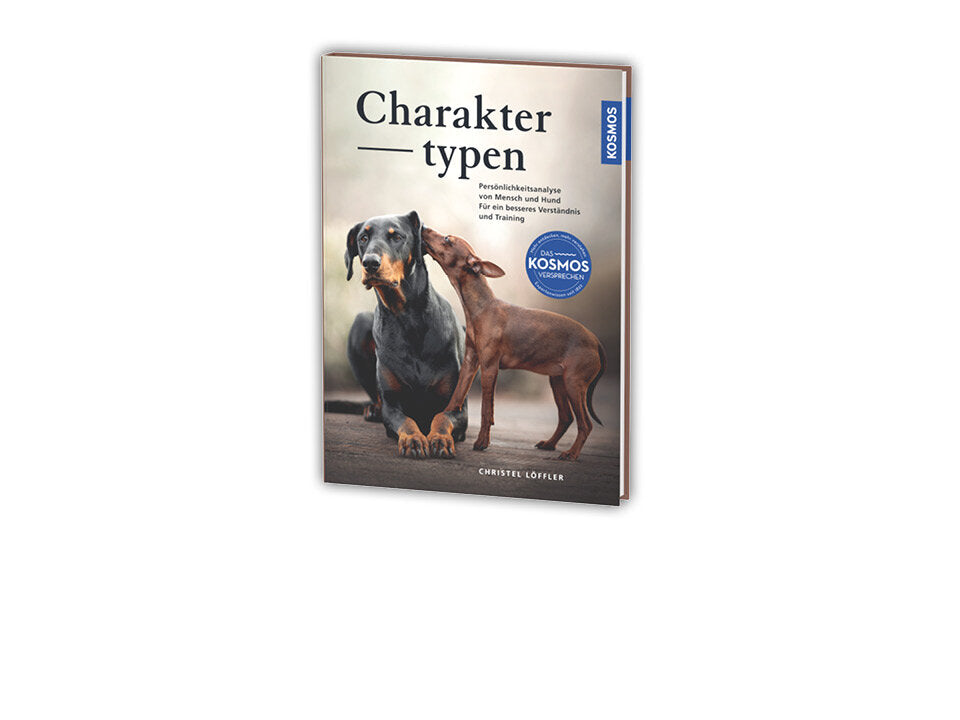 Charaktertypen Banner