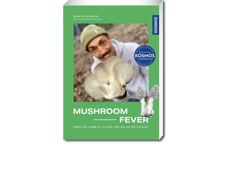 Mushroom Fever Banner