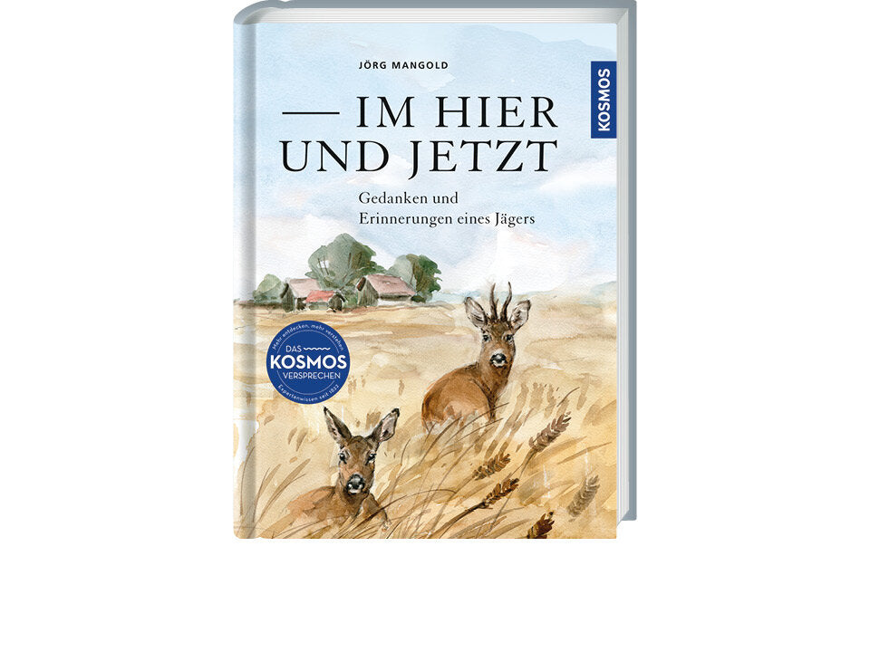 Im Hier und Jetzt Banner