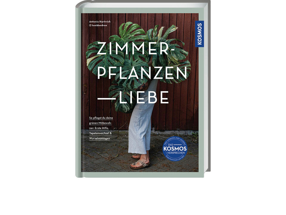 Zimmerpflanzenliebe Banner