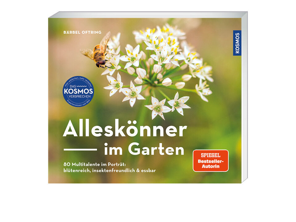 Alleskönner im Garten Banner
