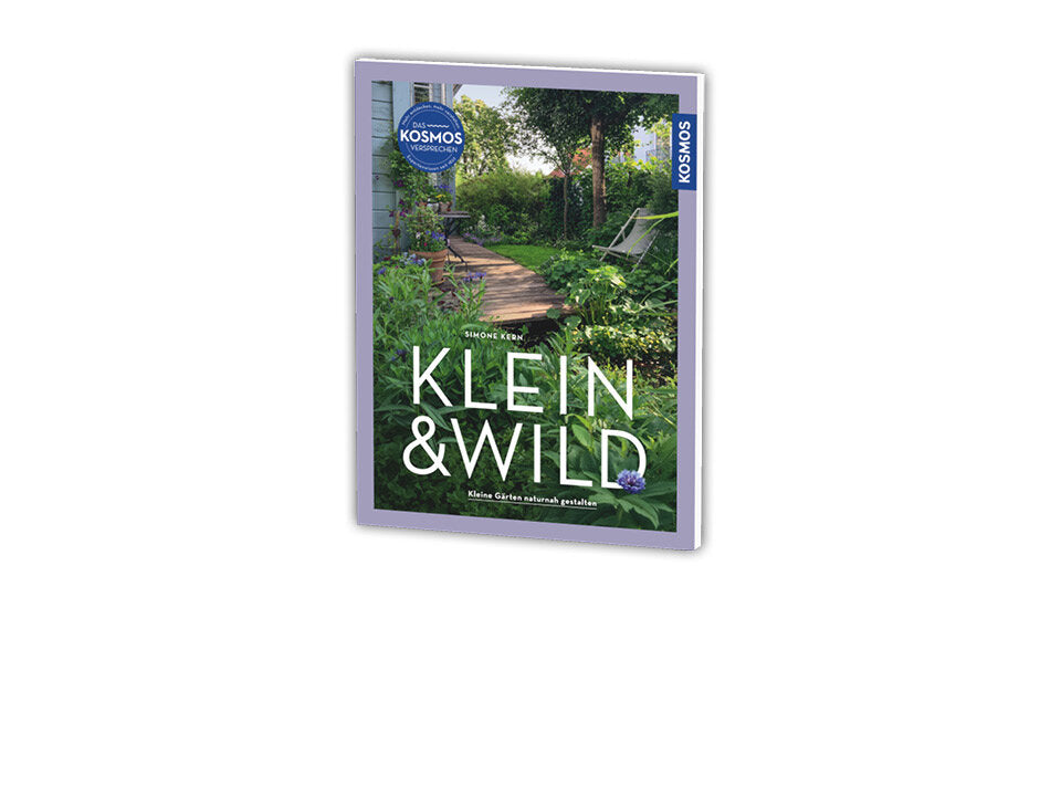 Klein & wild Banner