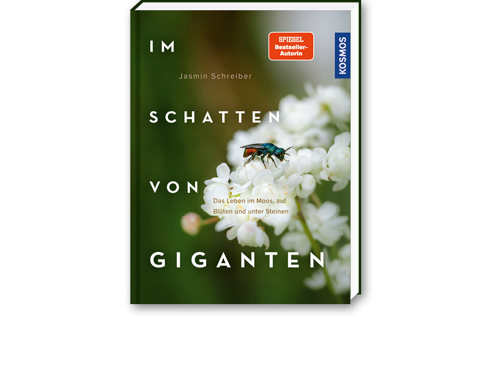 Im Schatten von Giganten Banner