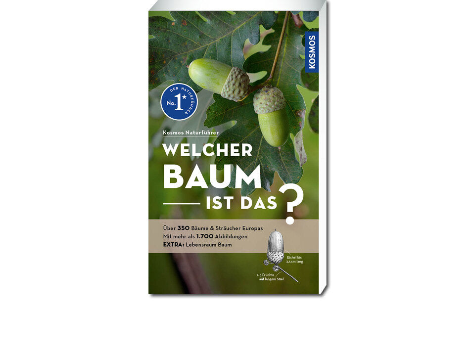 Welcher Baum ist das? Banner
