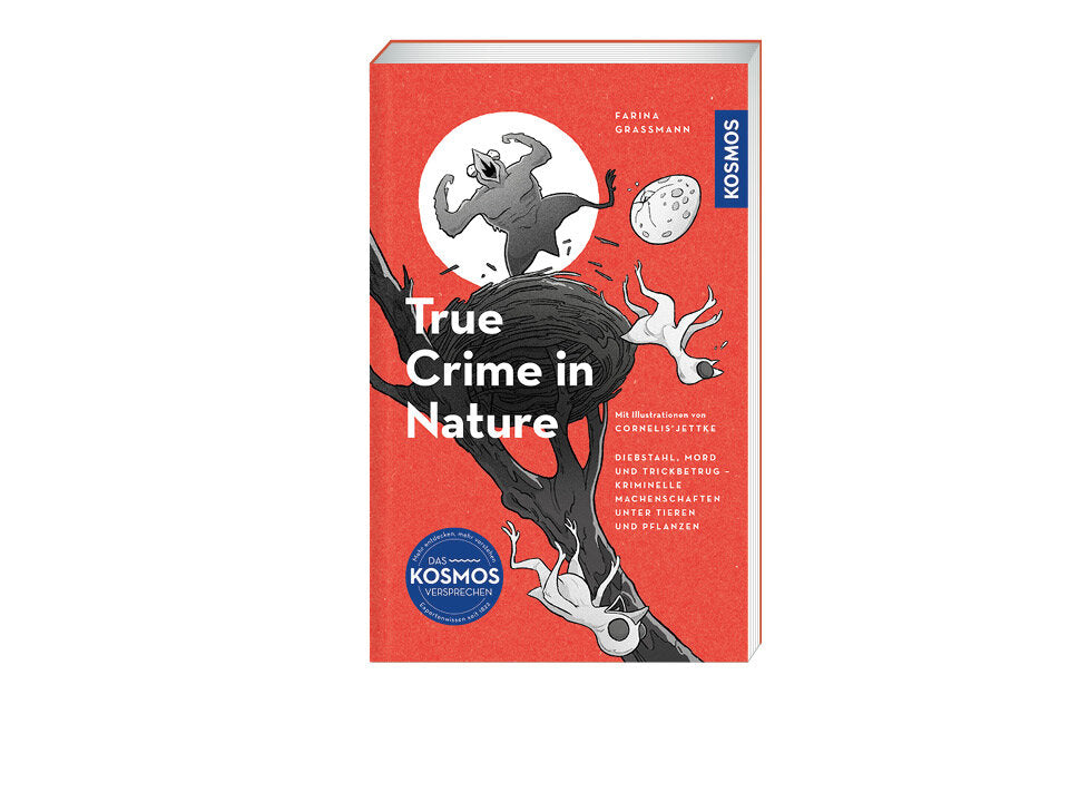 True Crime in Nature Banner