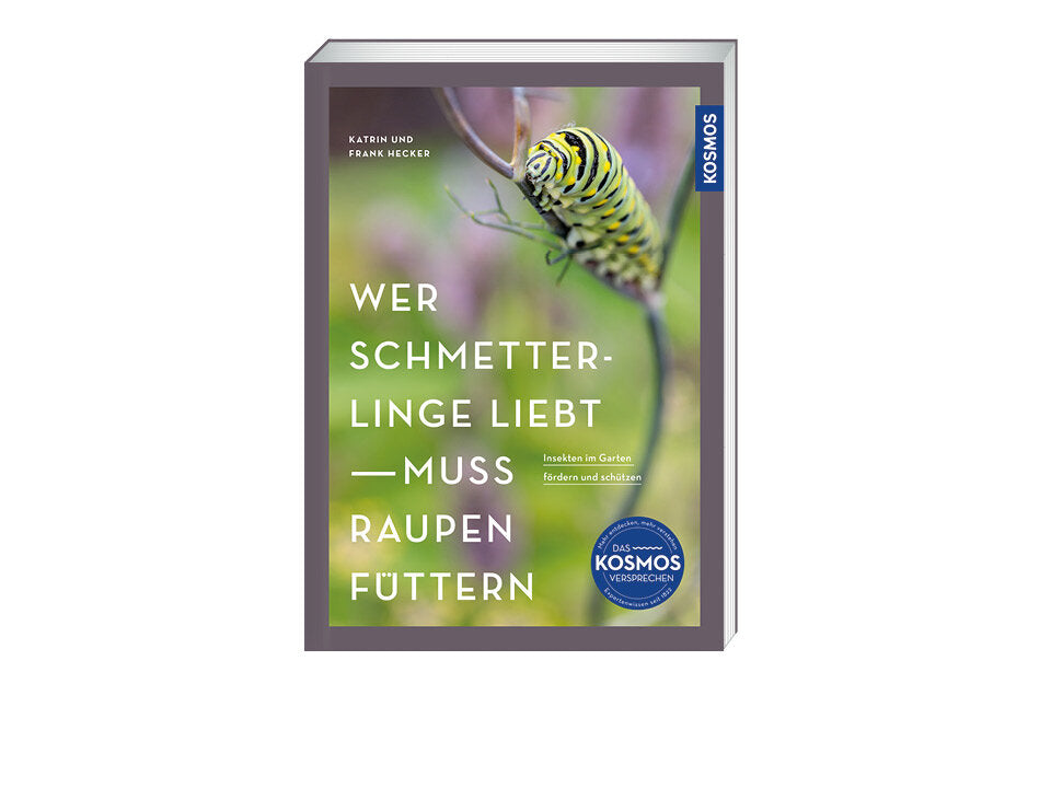 Wer Schmetterlinge liebt, muss Raupen füttern Banner