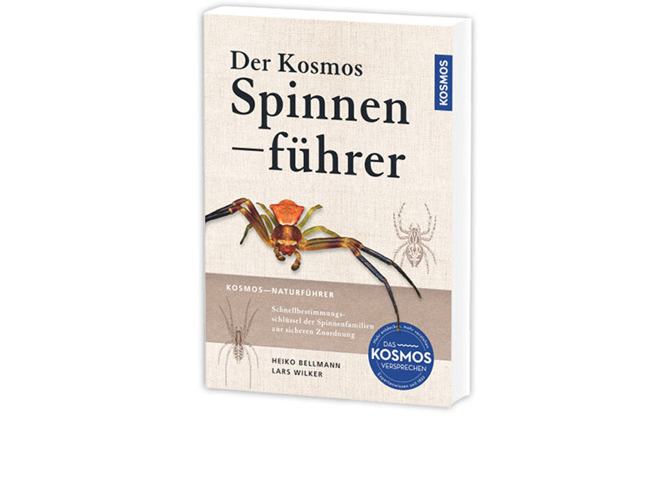 Der Kosmos Spinnenführer Banner