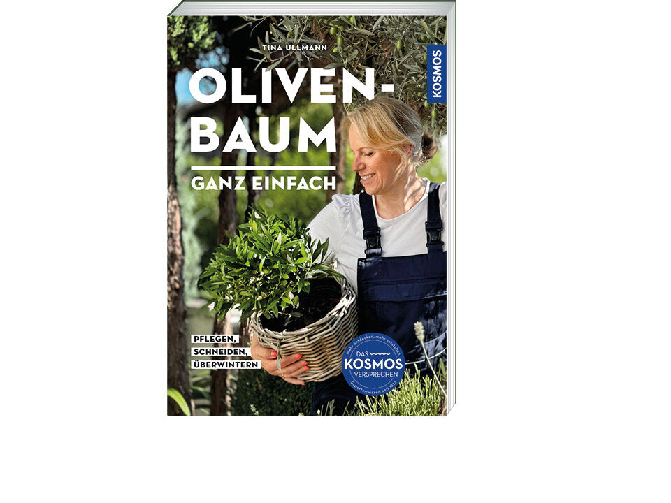 Olivenbaum ganz einfach Banner