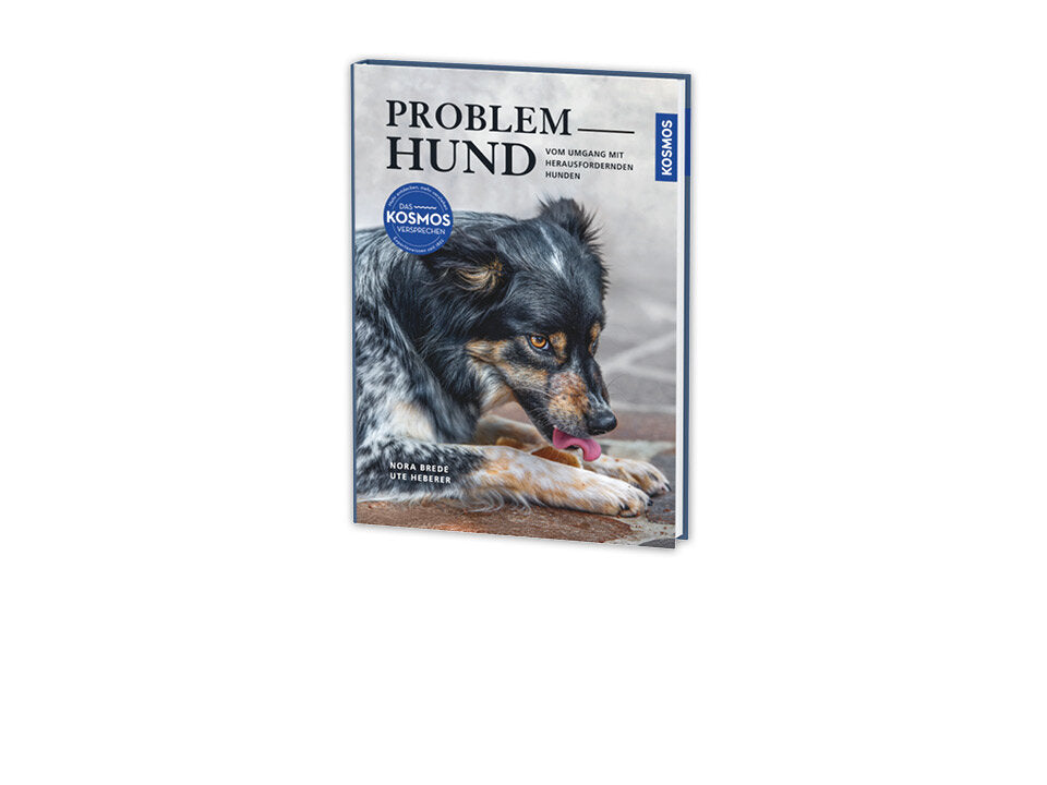 Problem Hund Banner