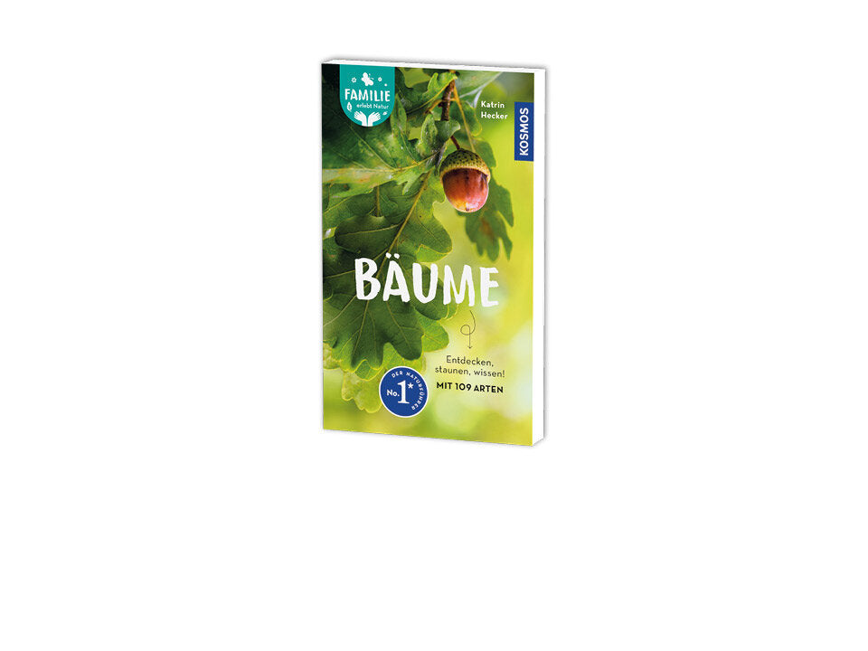 Bäume Banner