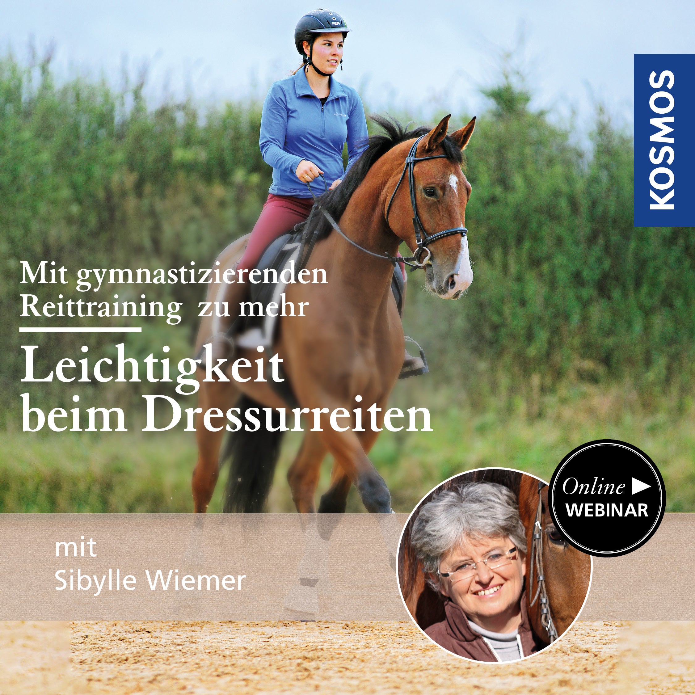 Mit gymnastizierenden Reittraining zu mehr Leichtigkeit beim Dressurreiten