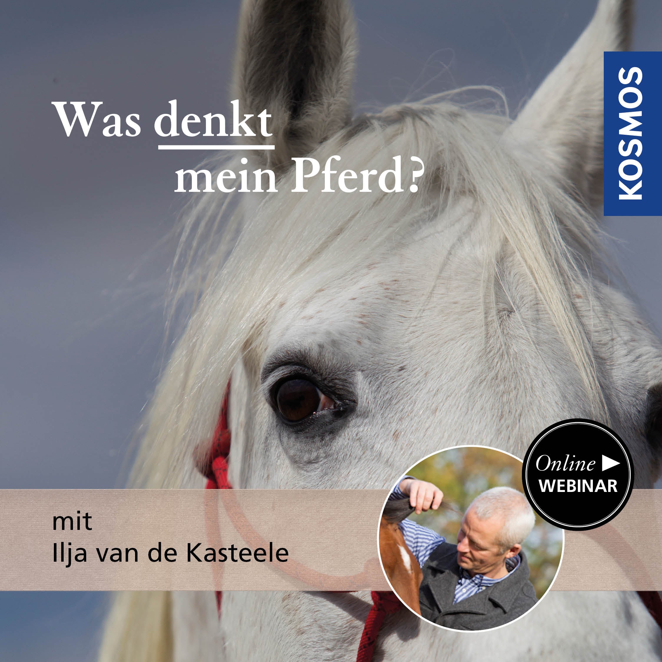 Was denkt mein Pferd?