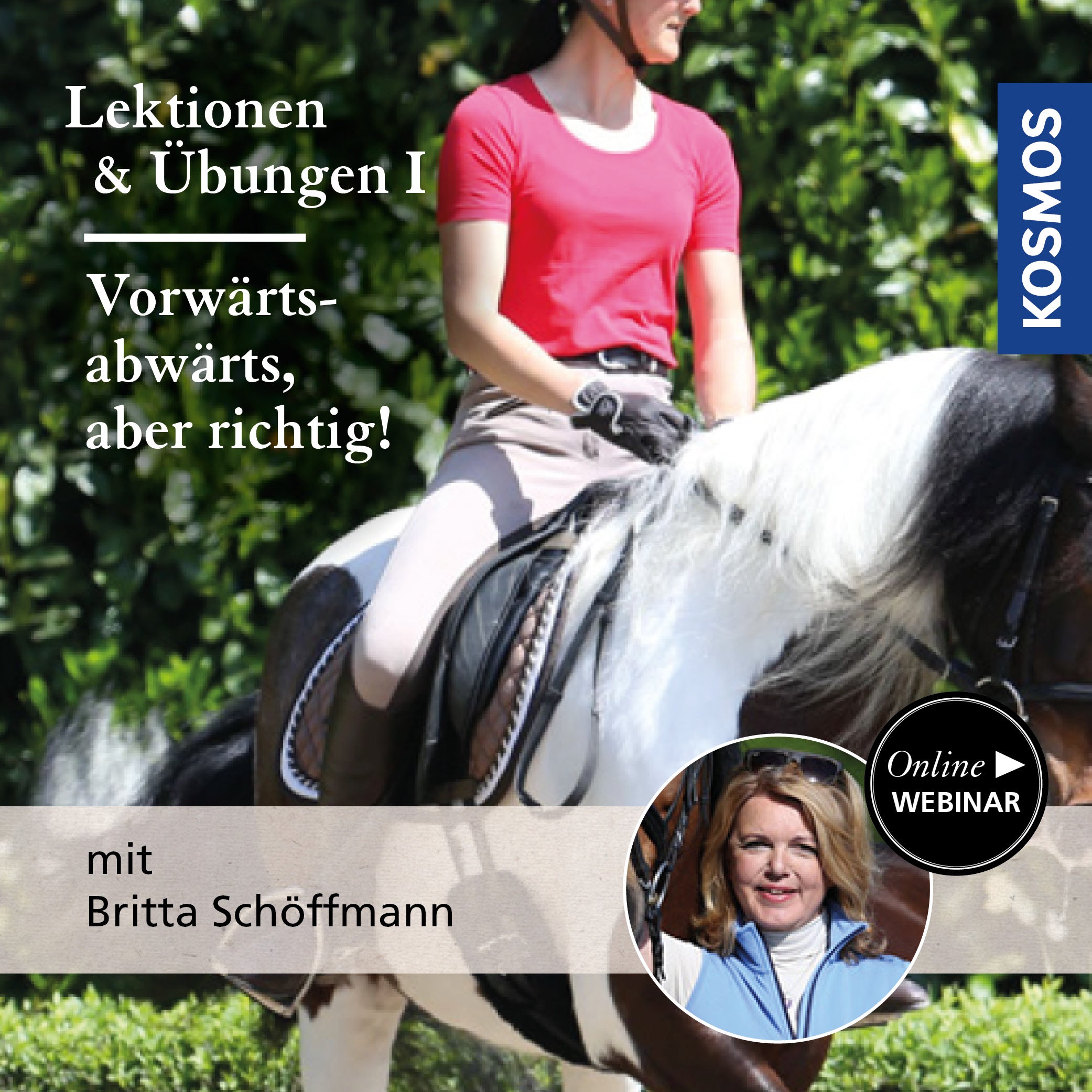 Lektionen und Übungen vom Sattel aus, Teil 1: Vorwärts-abwärts, aber richtig