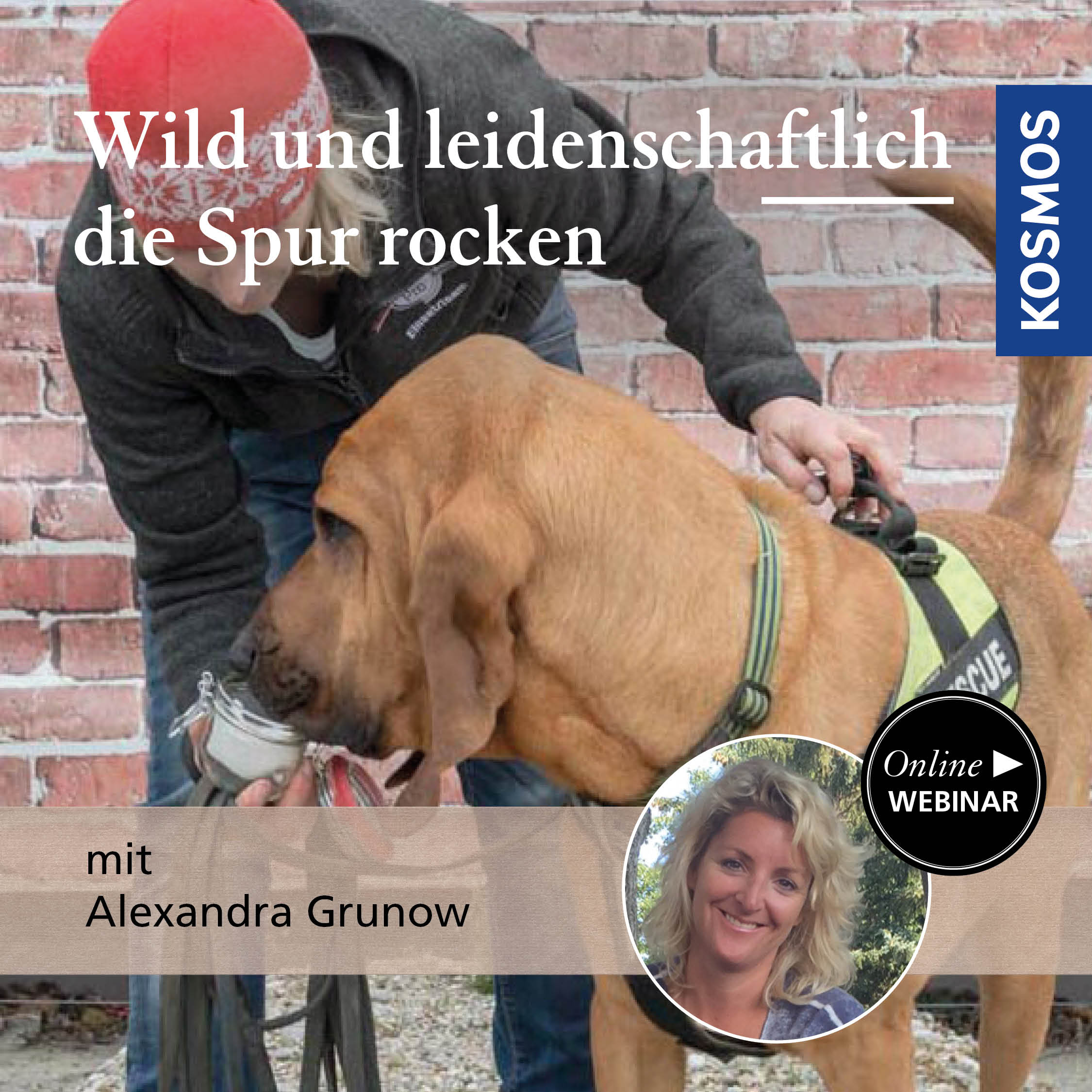 Wild and Passionate – rock the trail