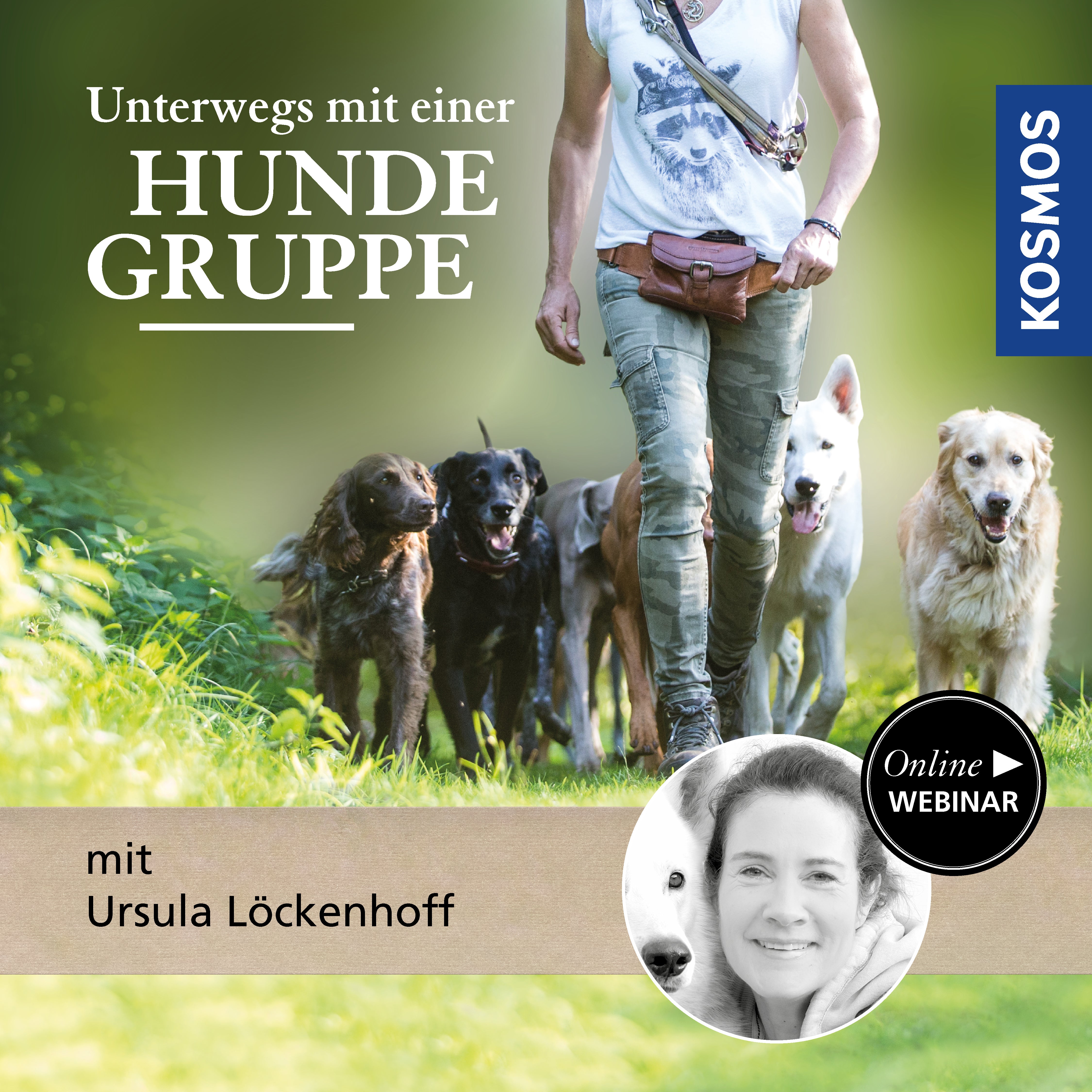 Unterwegs mit einer Hundegruppe