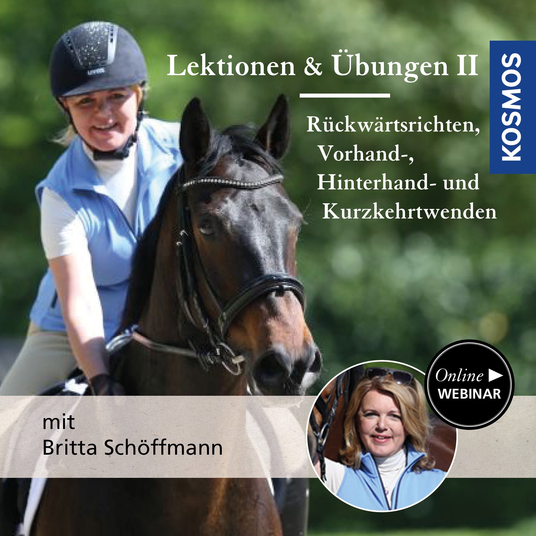 Lektionen und Übungen vom Sattel aus, Teil 2: Rückwärtsrichten, Vorhand-, Hinterhand- & Kurzkehrtwendungen