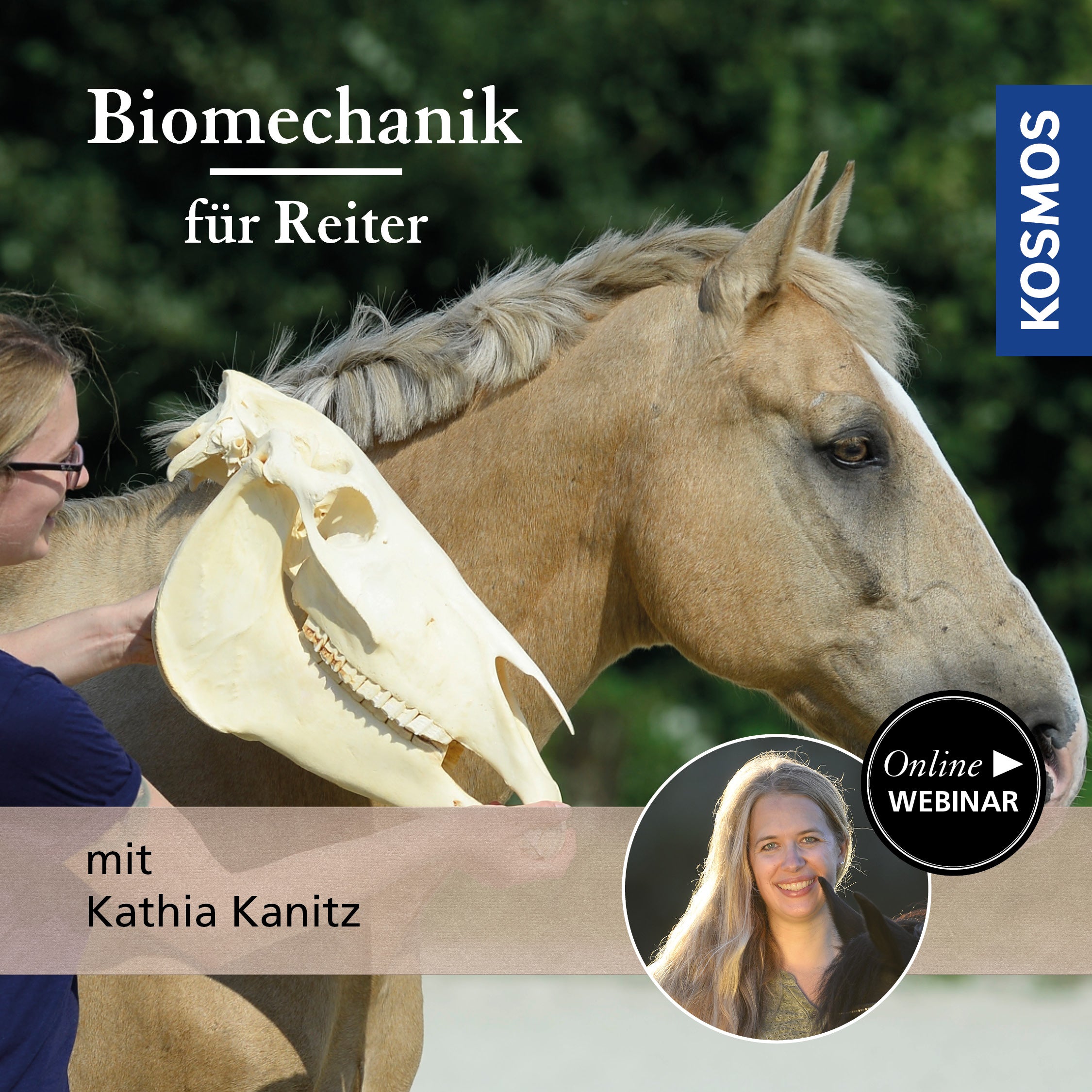 Biomechanics for Riders
