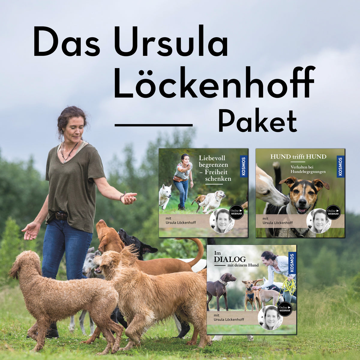 Das Ursula Löckenhoff Webinar-Paket
