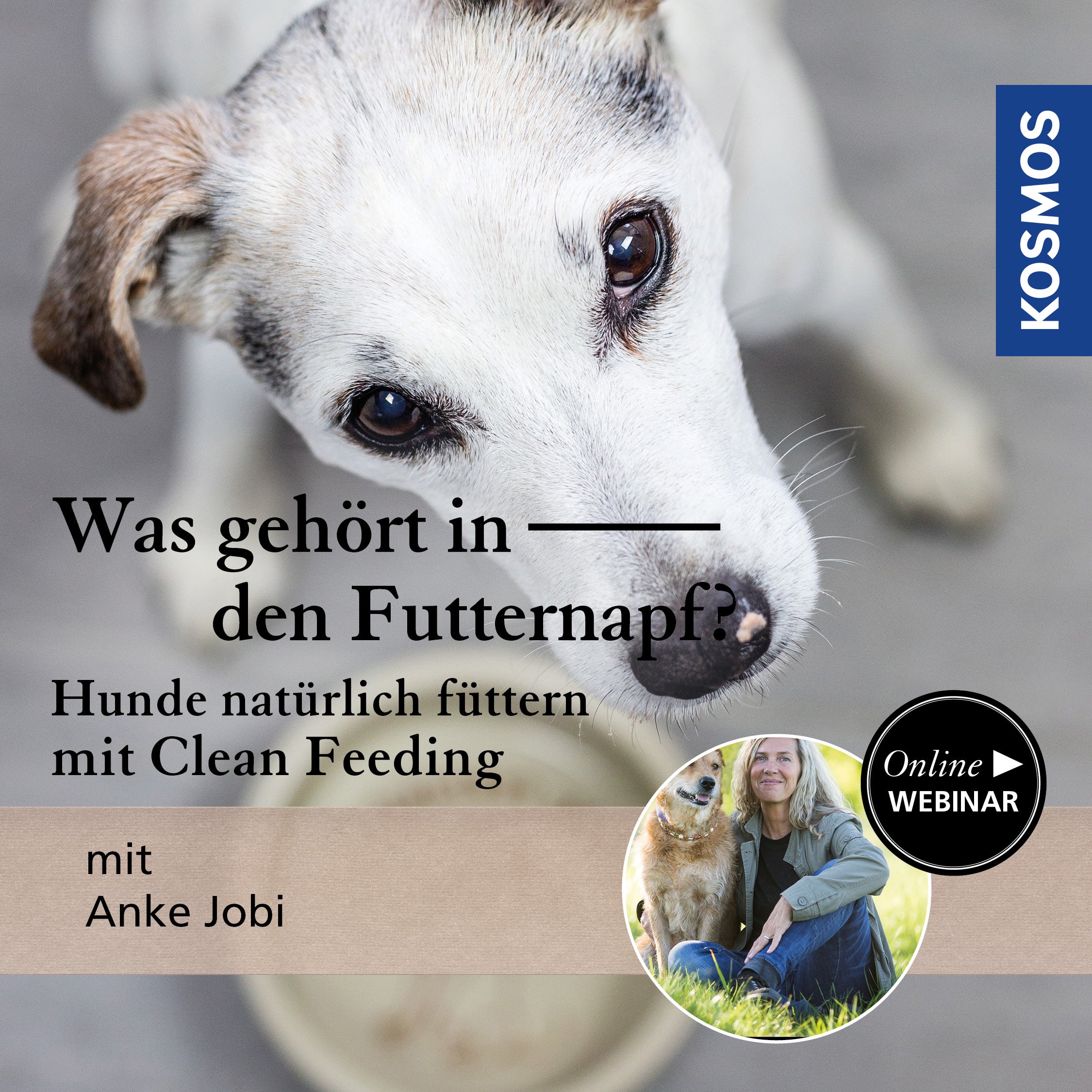 Was gehört in den Futternapf? – Hunde natürlich füttern mit Clean Feeding