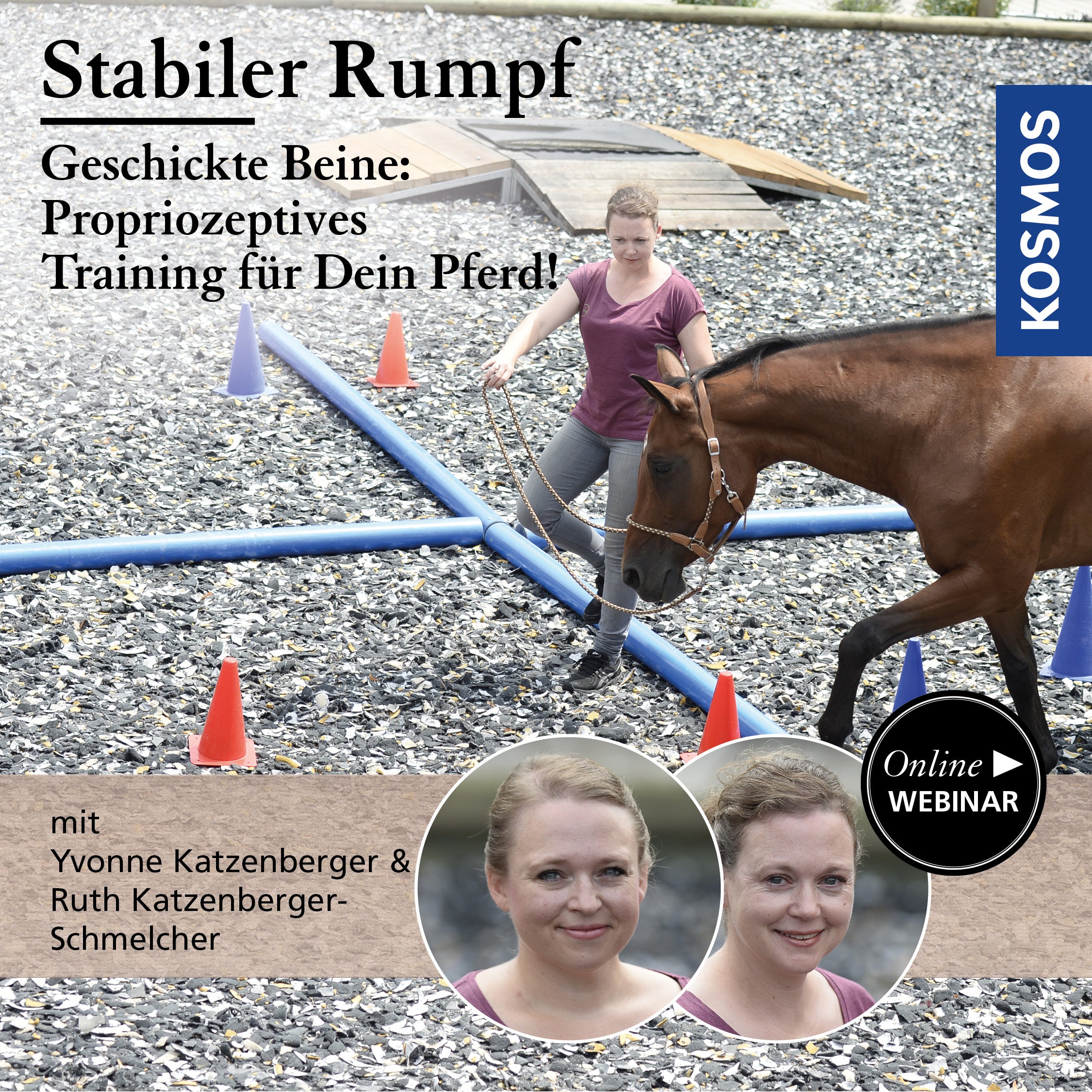 Strong Core — Nimble Legs: Proprioceptive Training for My Horse!