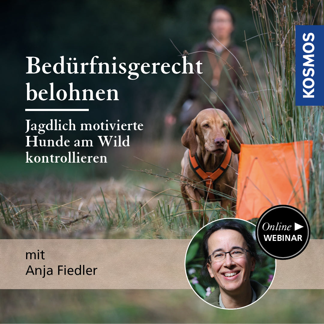 Bedürfnisgerecht belohnen – Jagdlich motivierte Hunde am Wild kontrollieren