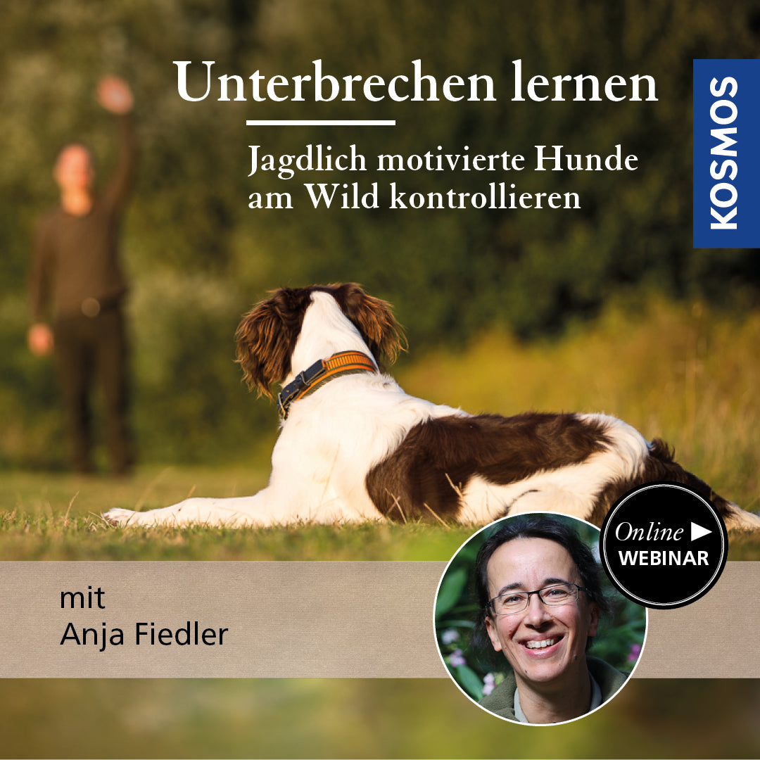 Unterbrechen lernen – Jagdlich motivierte Hunde am Wild kontrollieren