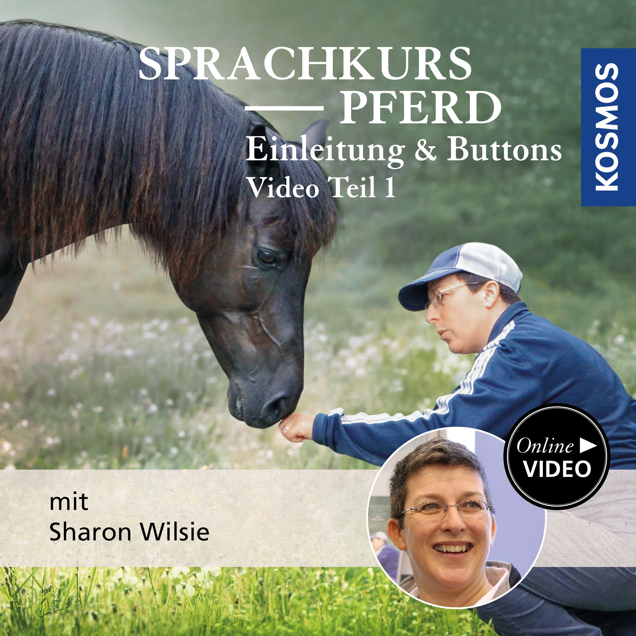 Sprachkurs Pferd – Einleitung & Buttons Teil 1