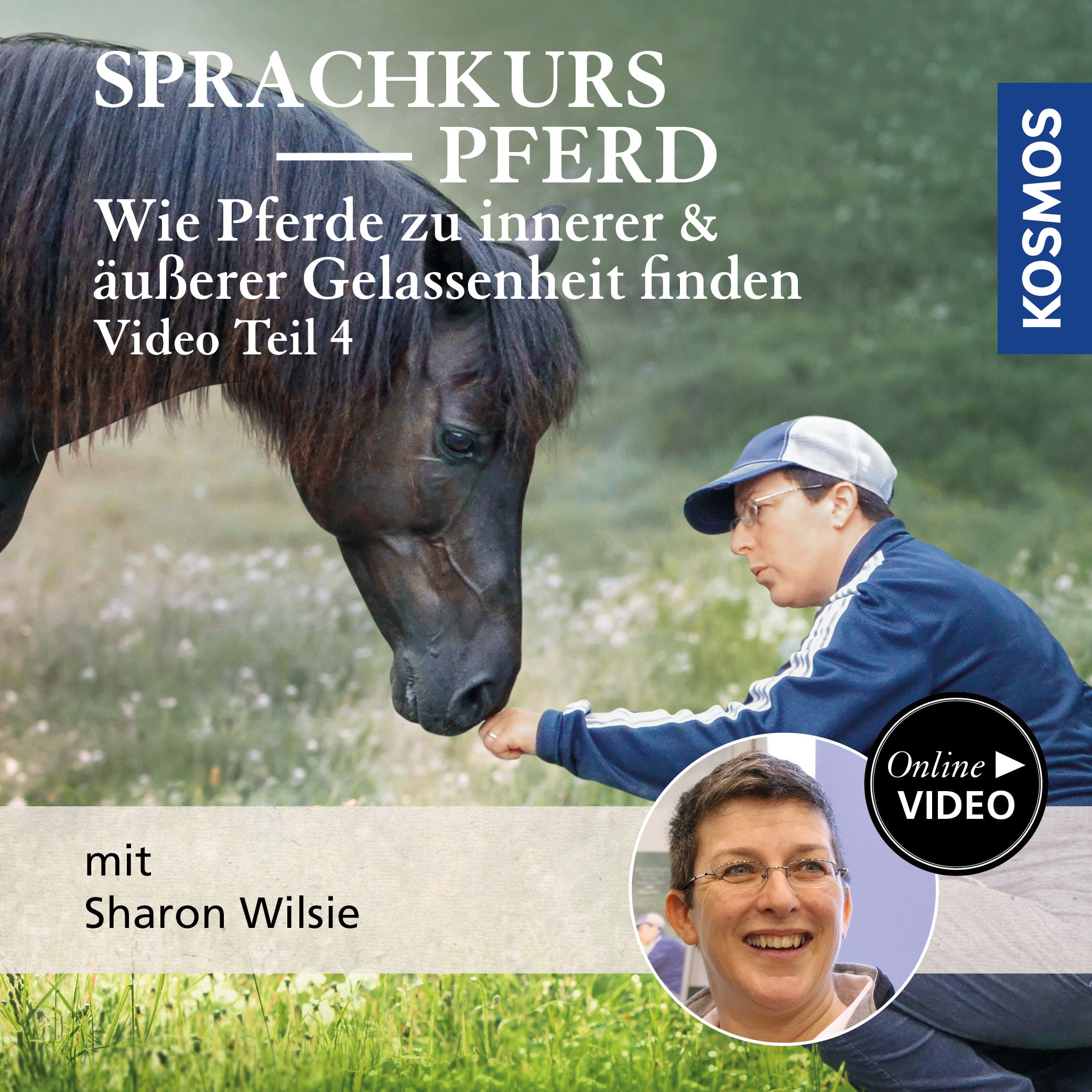 Sprachkurs Pferd – Wie Pferde zu innerer und äußerer Gelassenheit finden Teil 4