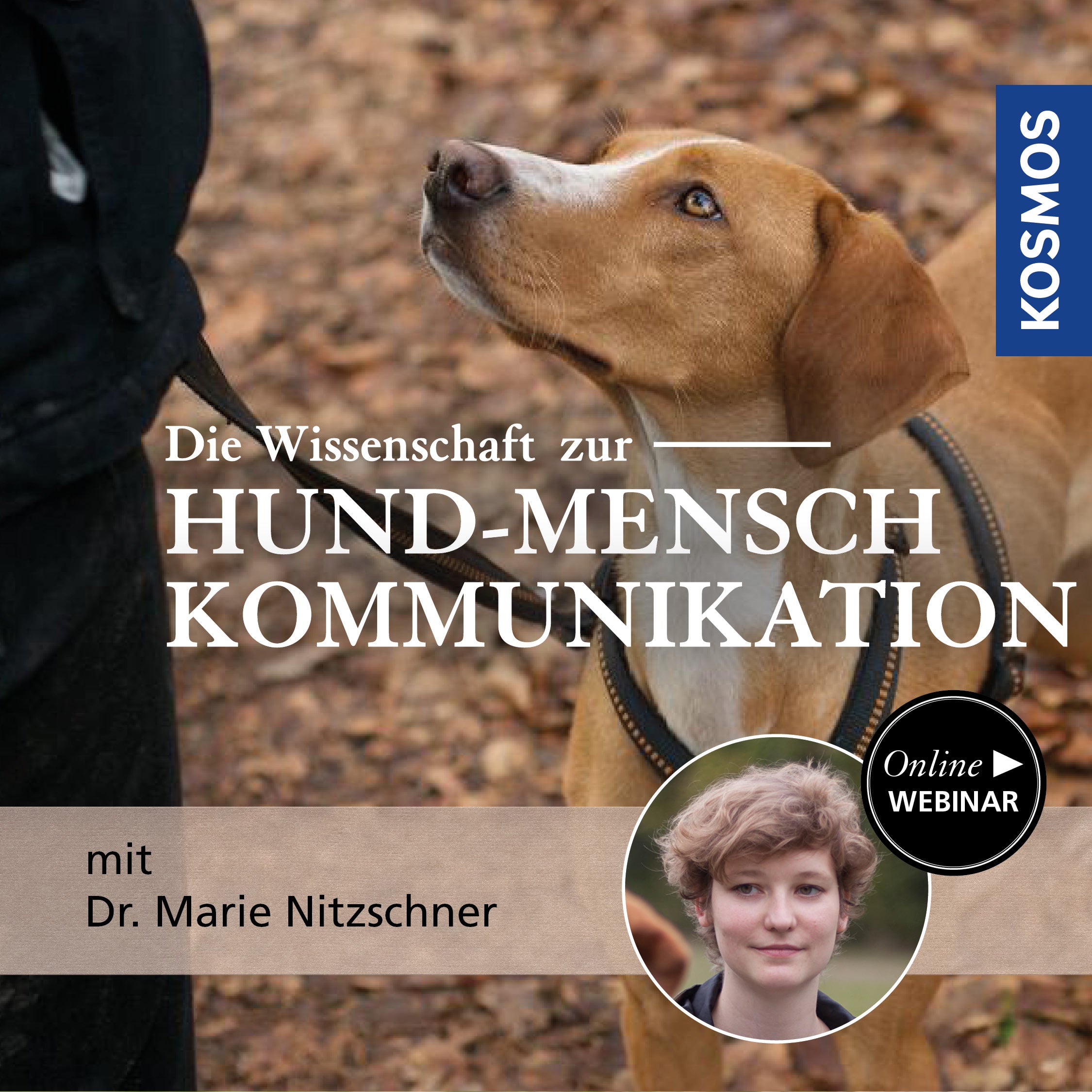 Die Wissenschaft zur Hund-Mensch-Kommunikation