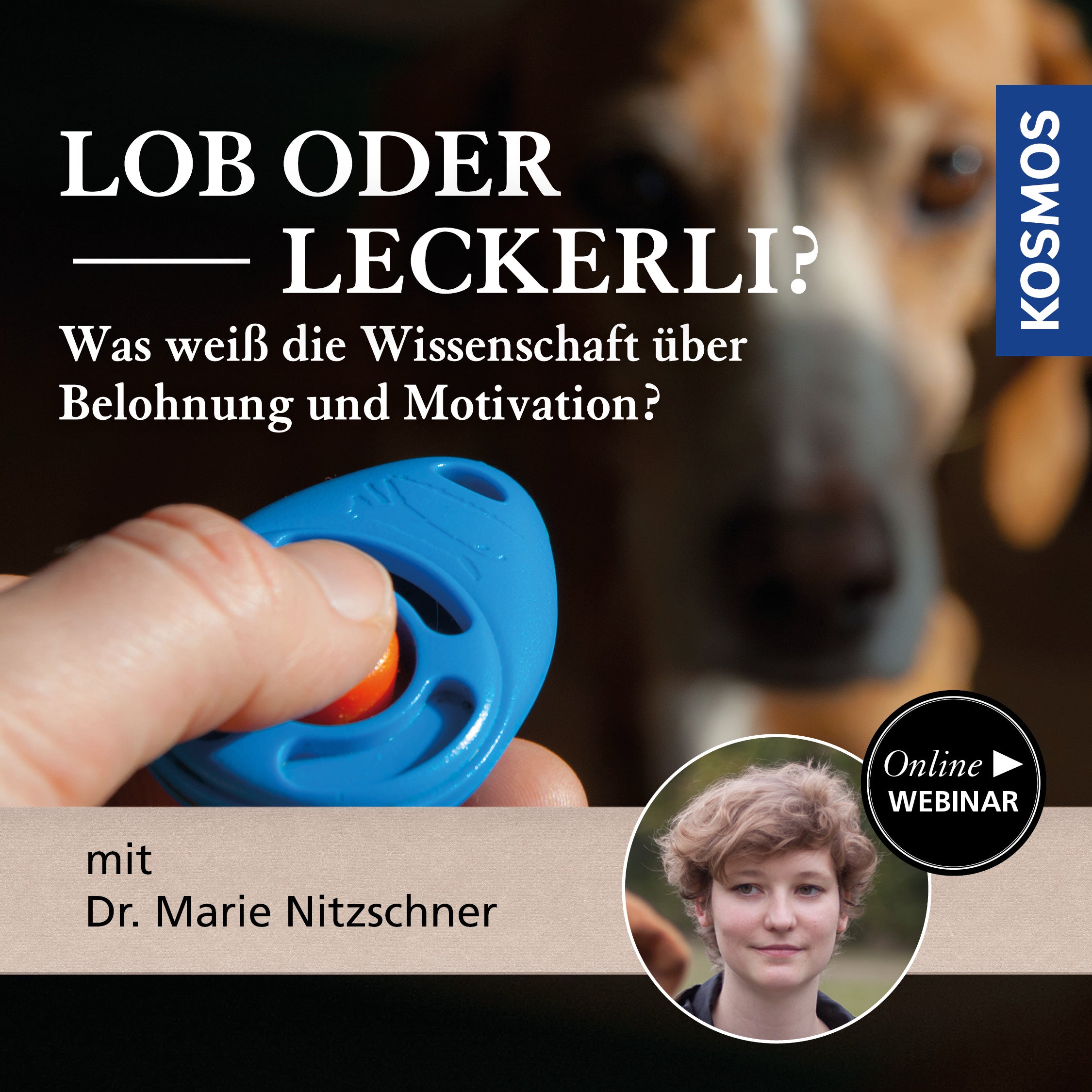 Lob oder Leckerli? - Was weiß die Wissenschaft über Belohnung und Motivation?