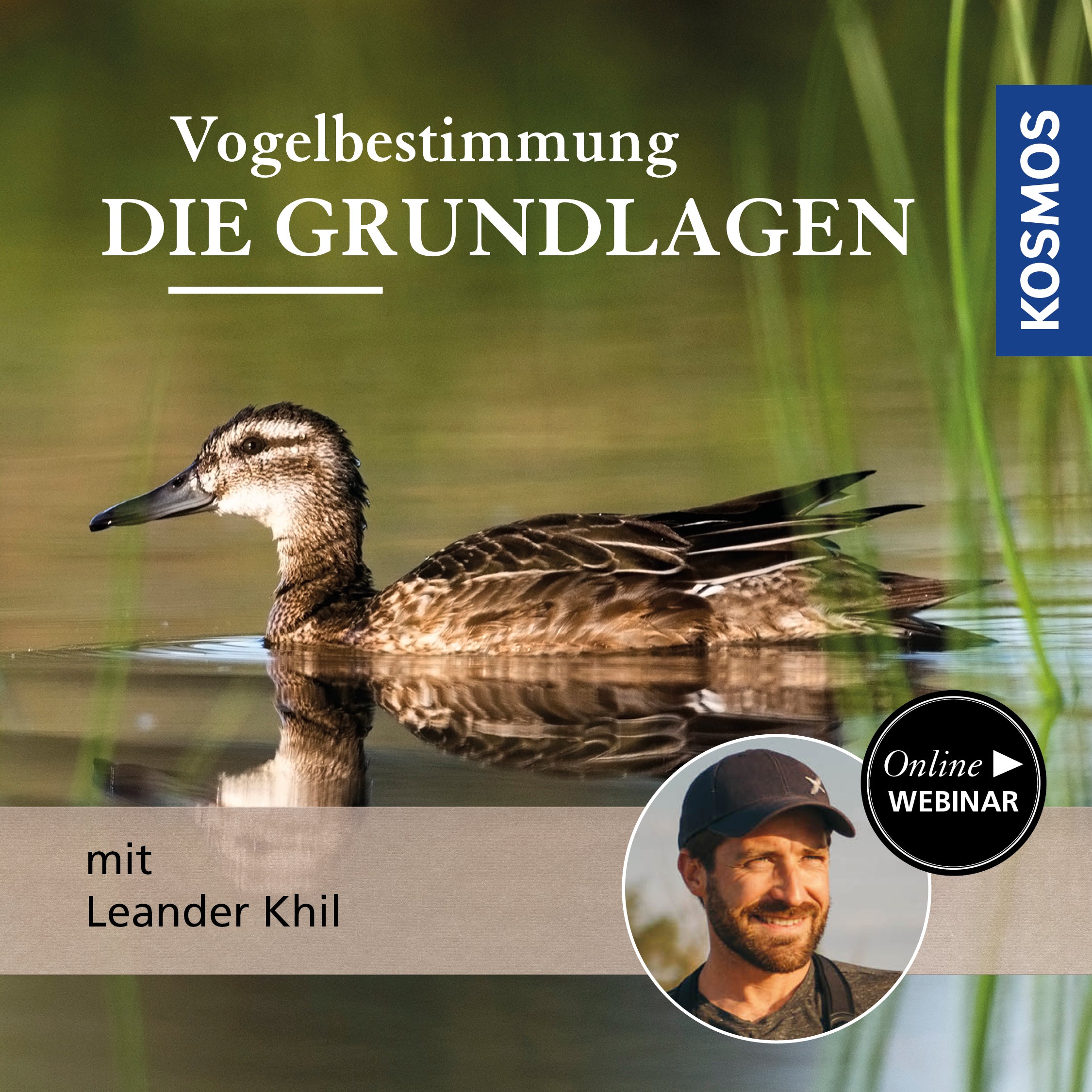 Vogelbestimmung: Die Grundlagen