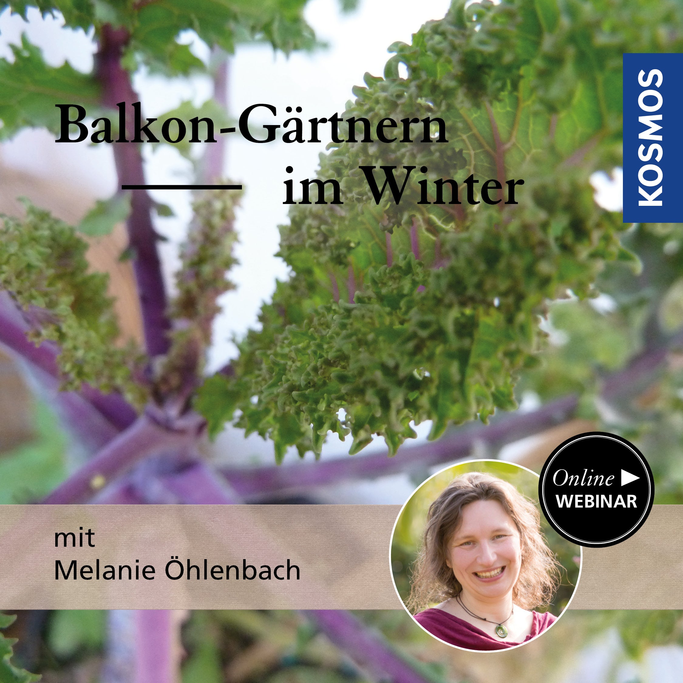 Balkongärtnern im Winter