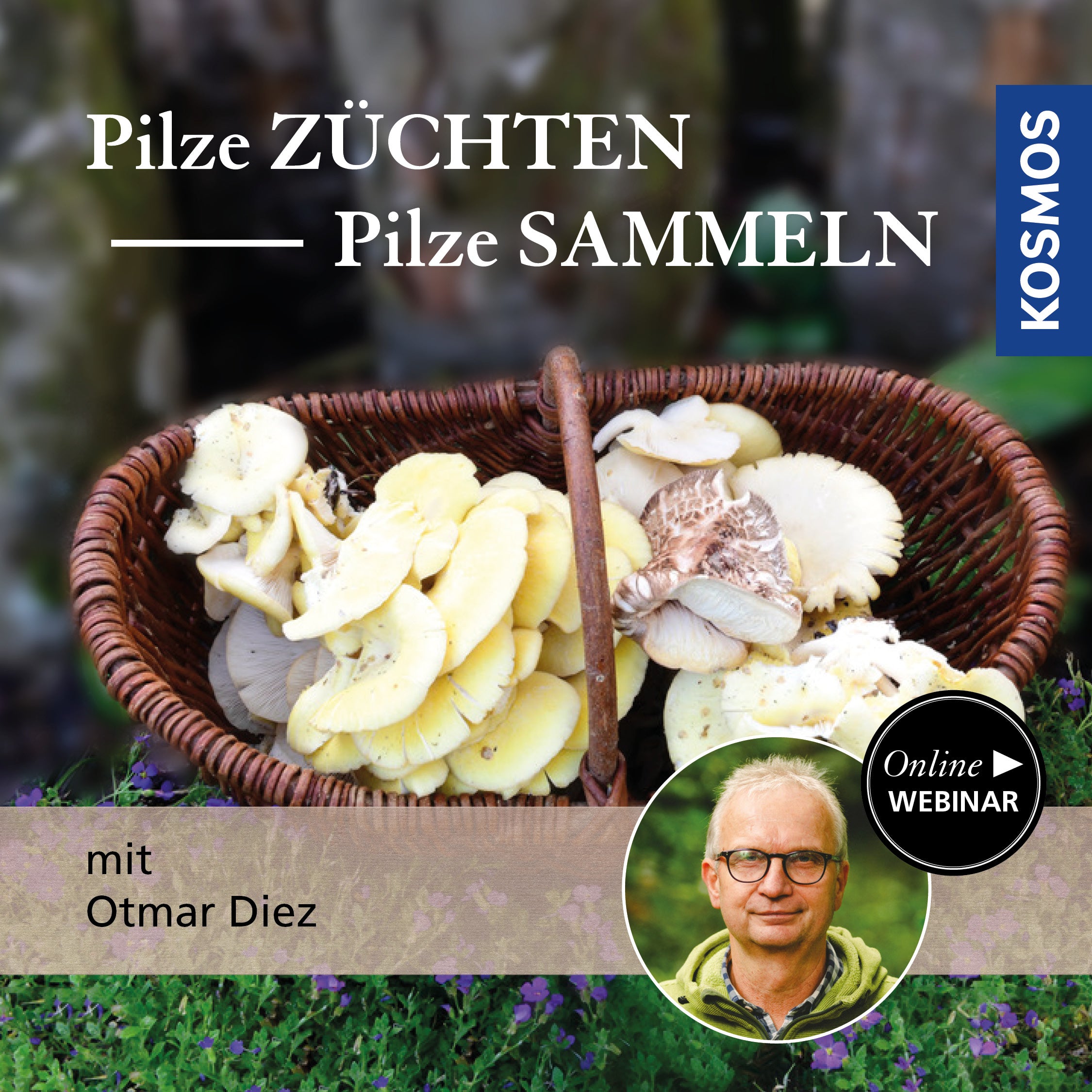 Pilze züchten – Pilze sammeln