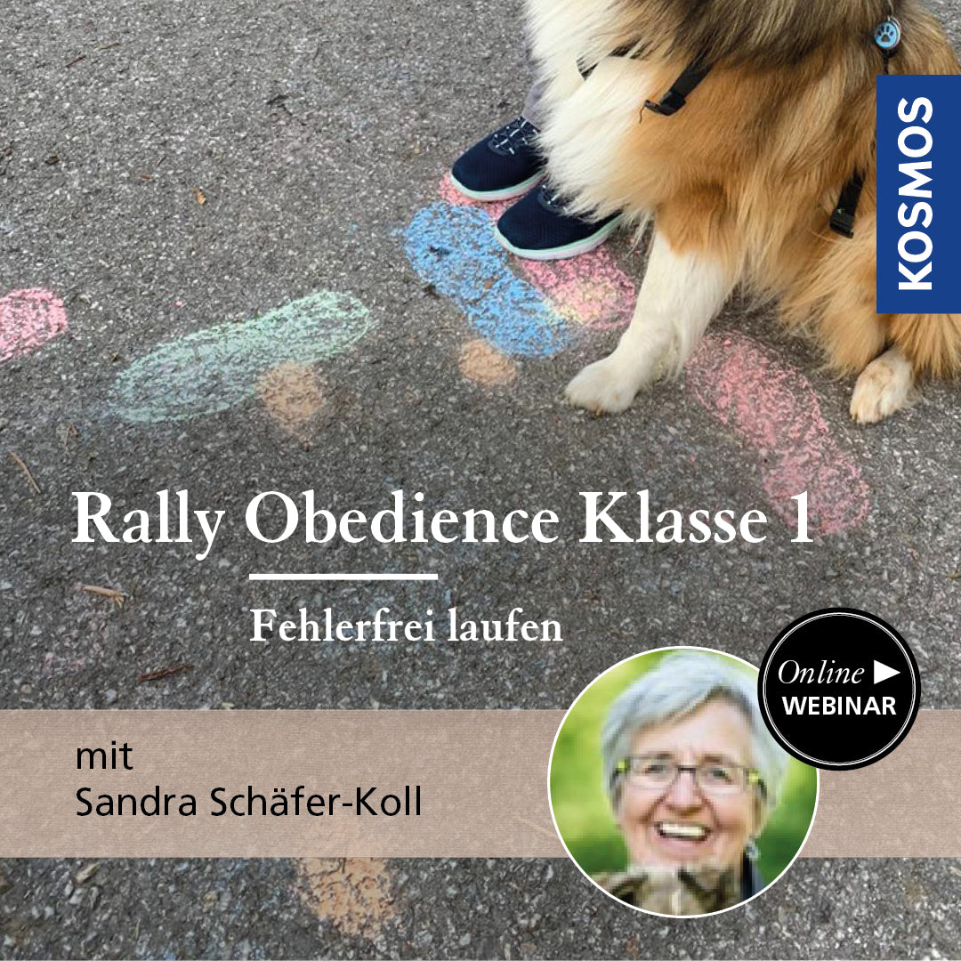 Rally Obedience Class 1 - Perfect Run