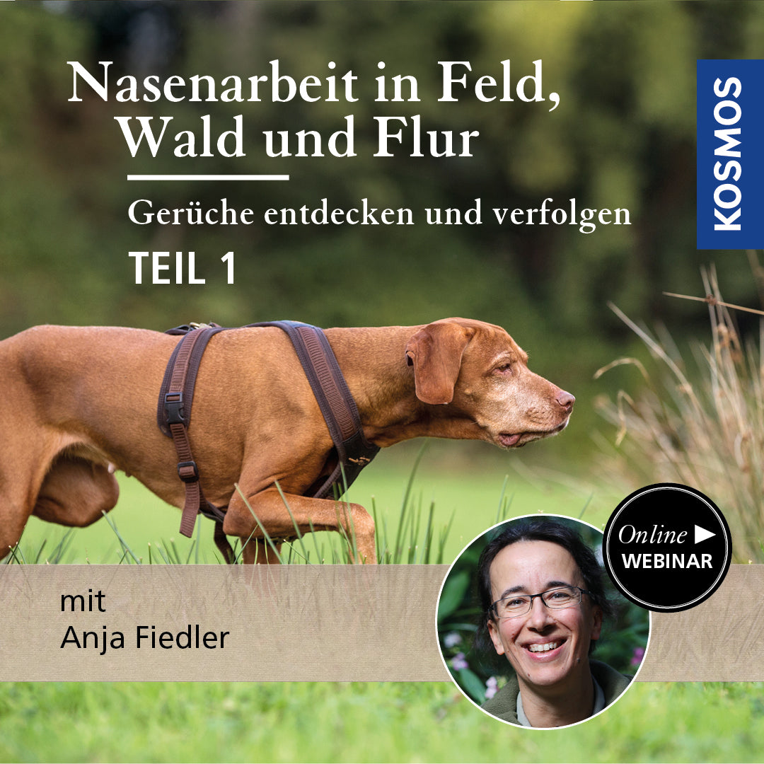 Nasenarbeit in Feld, Wald und Flur: Gerüche entdecken und verfolgen