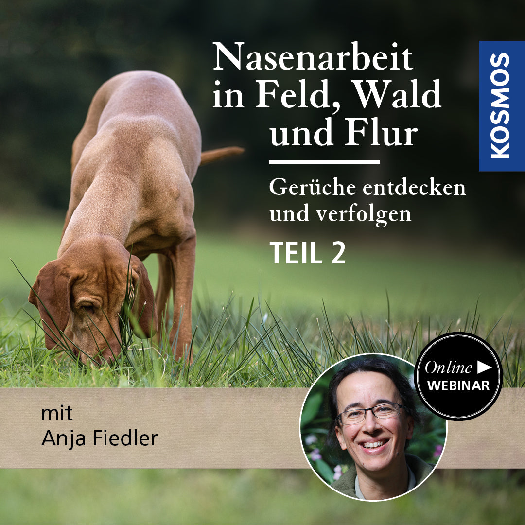 Nasenarbeit in Feld, Wald und Flur: Gerüche entdecken und verfolgen II