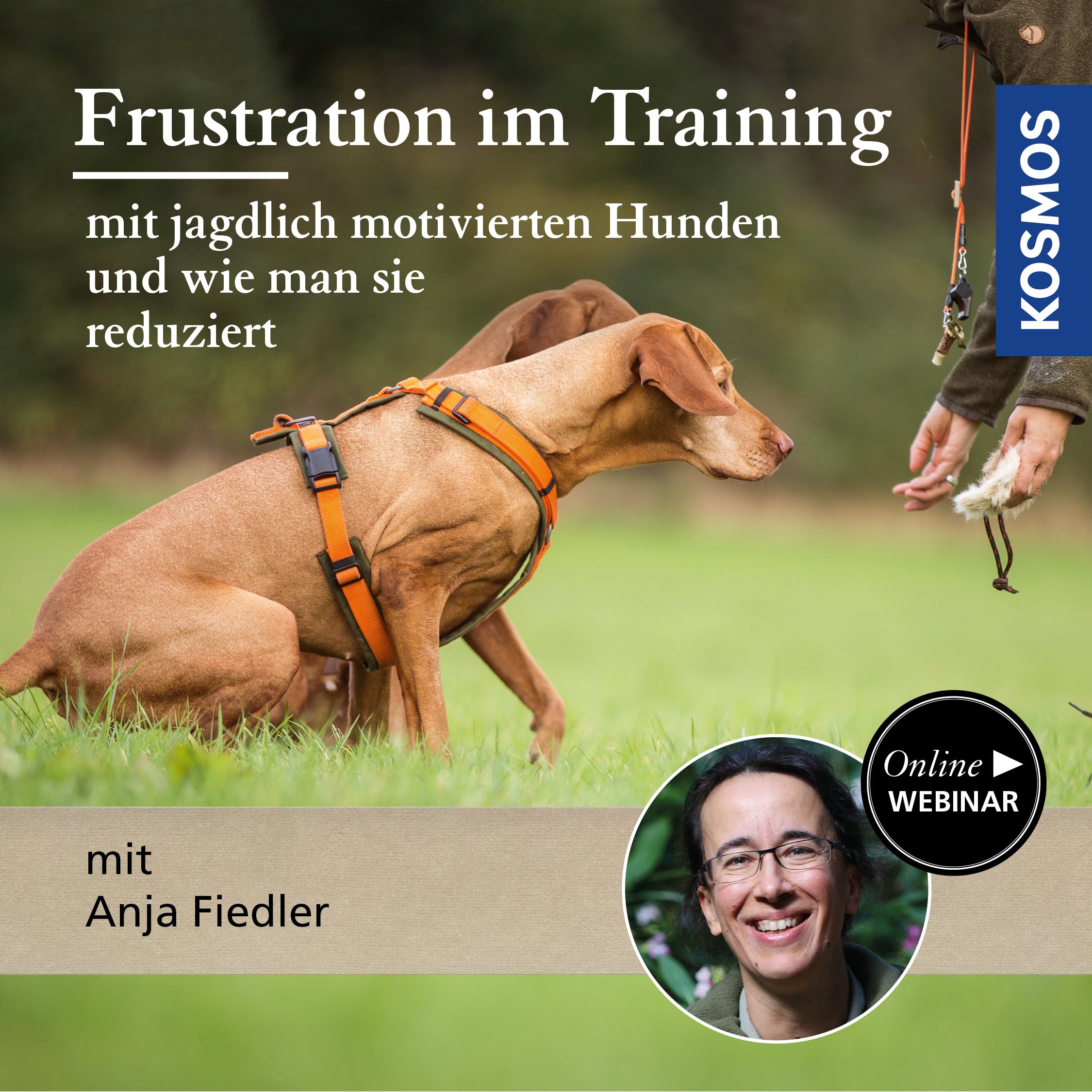 Frustration in Training with Hunting-Motivated Dogs and How to Reduce It