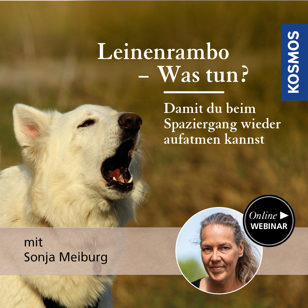 Leinenrambo - Was tun?